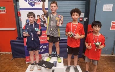 Tournoi régional de détection