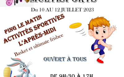 Stage été multisports