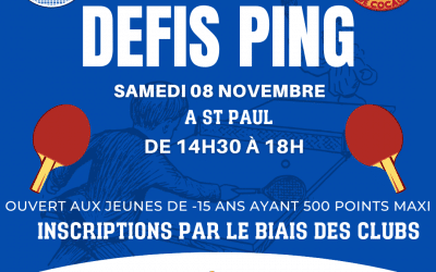 1er DEFIS PING 2025-2026
